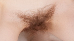 Category: Hairy Pussy