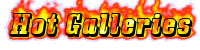 Hot Galleries Logo